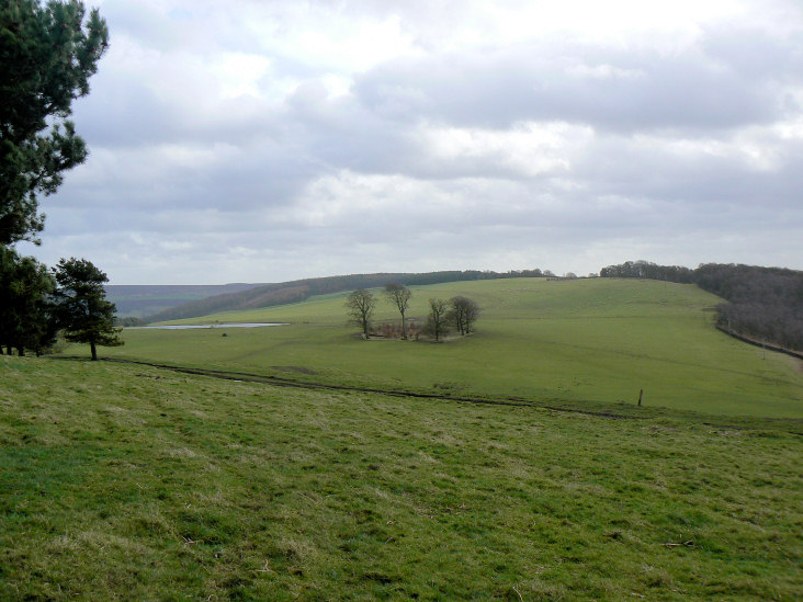 Calton Pastures Calton Pastures